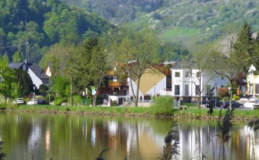 Moselidyll-Traumferienwohnung in exponierter Moselufer-Lage Traben-Trarbach